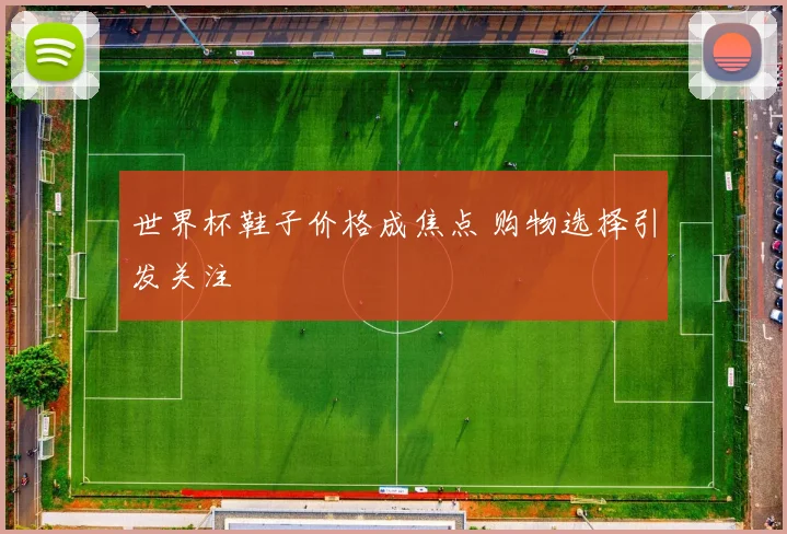 世界杯鞋子价格成焦点 购物选择引发关注