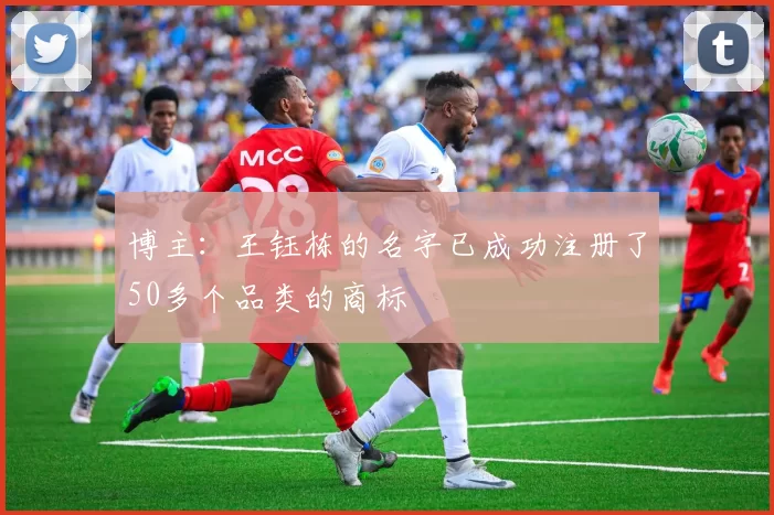 博主：王钰栋的名字已成功注册了50多个品类的商标