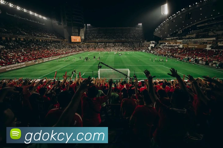 App Interface Preview